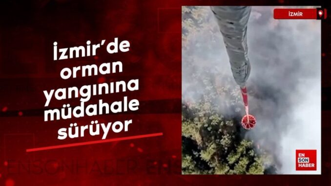 izmirde-orman-yanginina-mudahale-suruyor-U5EvMpnD.jpg